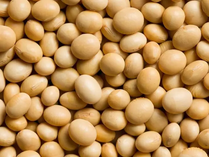 Soya Beans/Soybeans - Image 3