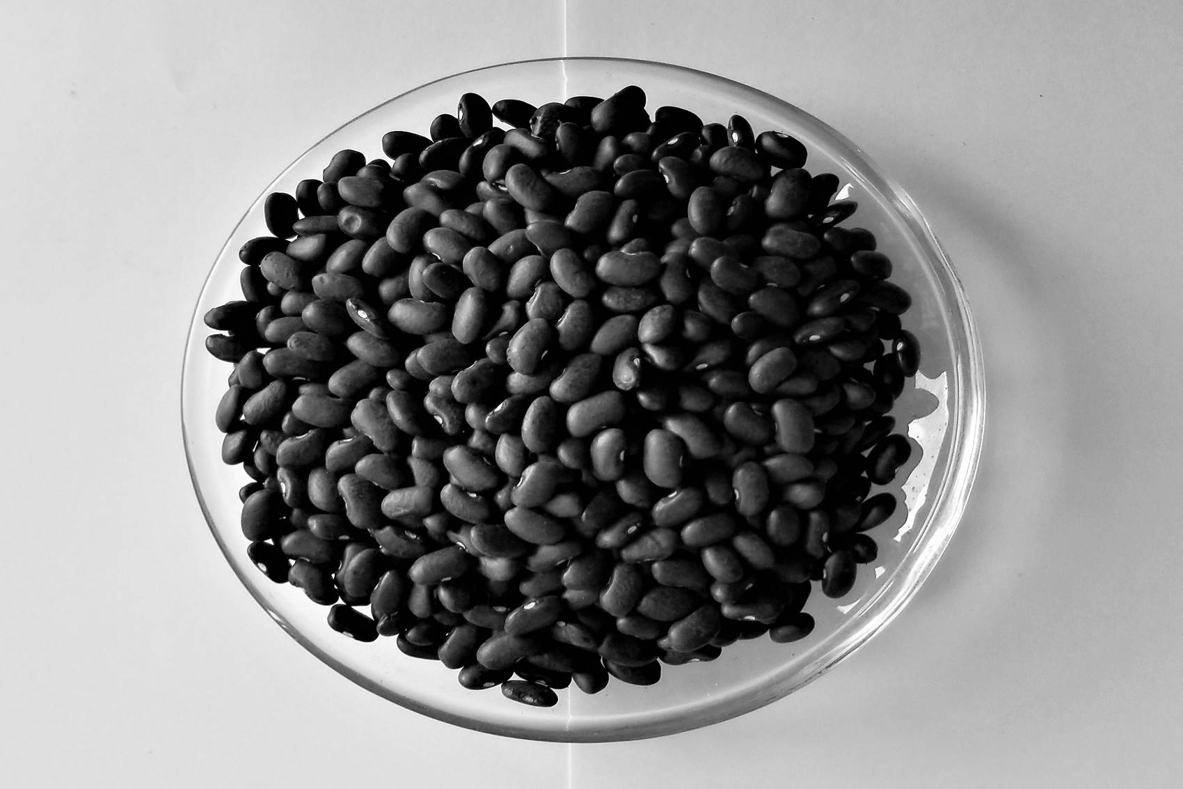 BLACK KIDNEY BEANS