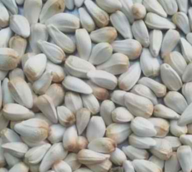 SUNFLOWER SEED